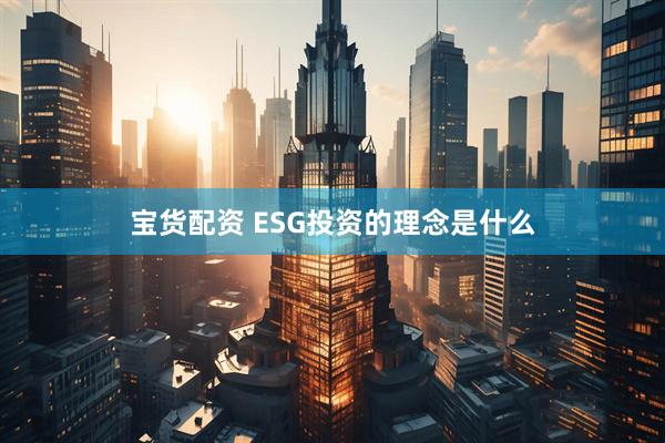 宝货配资 ESG投资的理念是什么